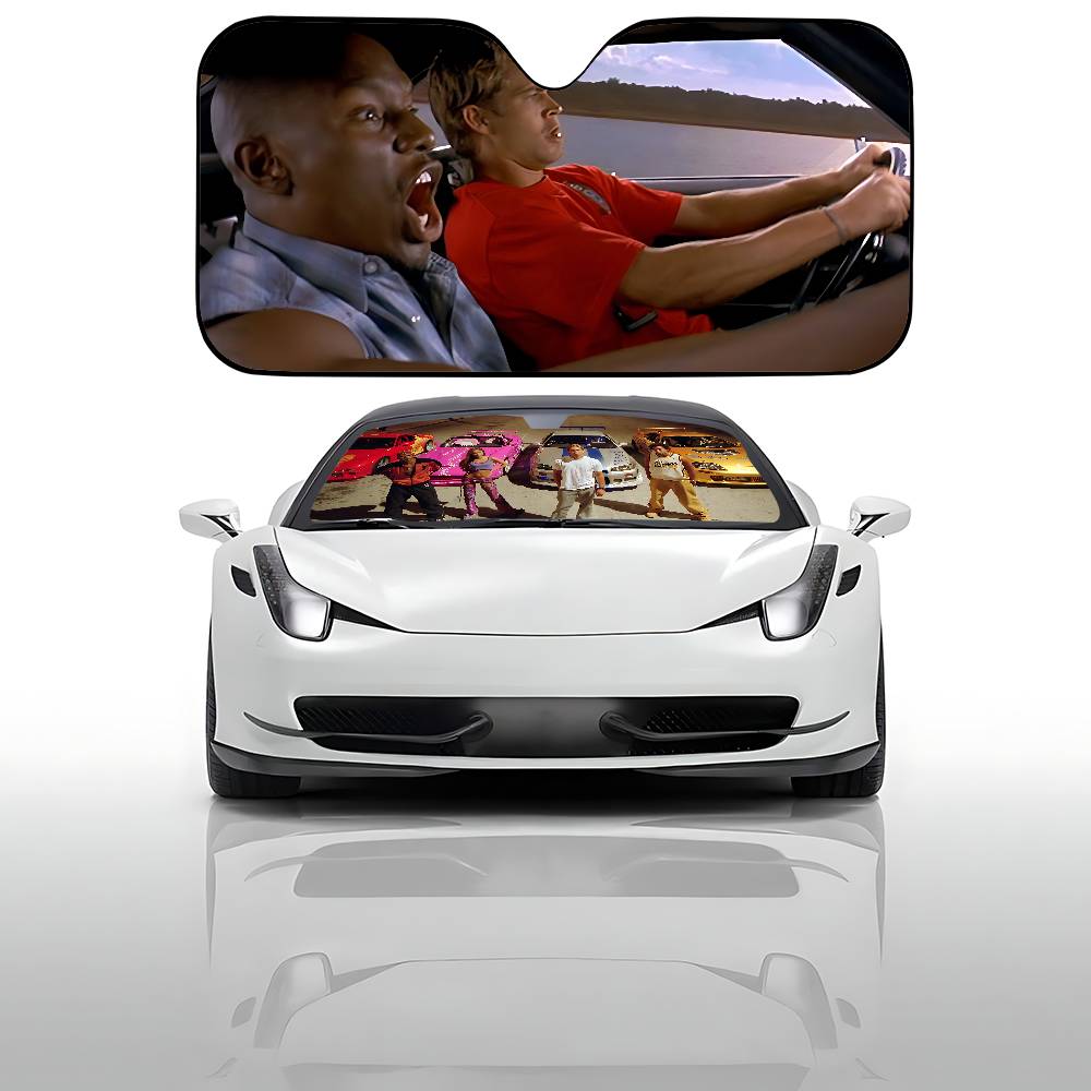 Parasol para coche de la pelíc - Windshield Sun Shade reseña y precio